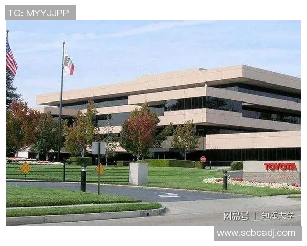 上海网球队的崛起之路洲际杯背后的奋斗与荣耀